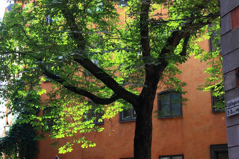30-Stoccolma,21 agosto 2011.JPG